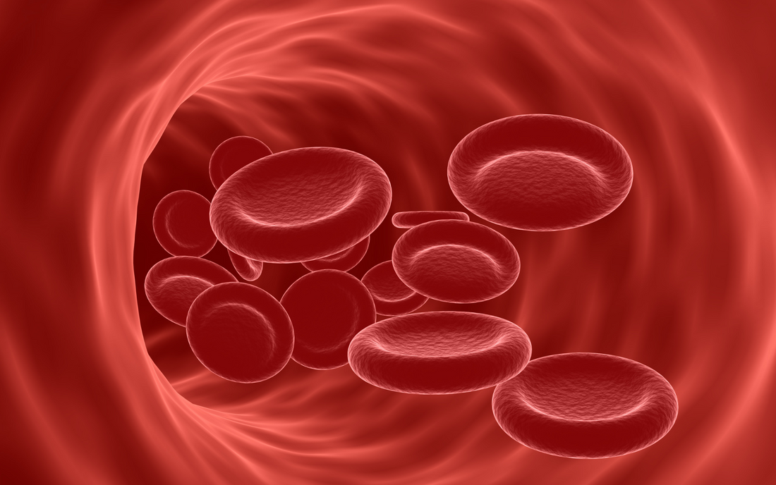 Red blood cells